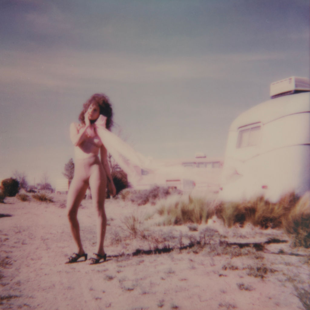 Soft-focus analogue photograph in a sunlit landscape